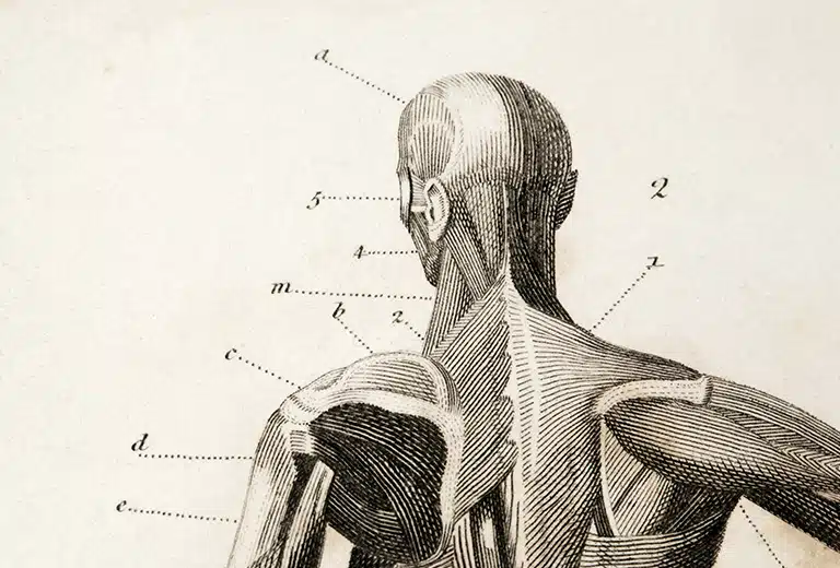 Jornada de valoración del daño corporal