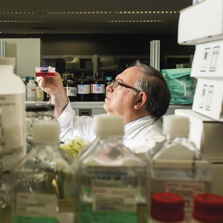 Investigación Investigación